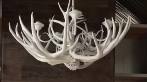 DIY Deer Antler Chandelier | DIY Joy Projects and Crafts Ideas Antler Chandelier Diy, Diy Deer Antlers, Decanter Lights, How To Make Trees, Deer Antler Chandelier, Chandelier Diy, Diy Joy, Antler Chandelier, Wrought Iron Chandeliers