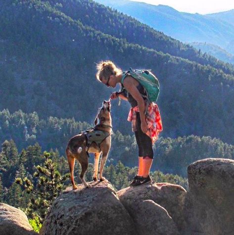 Dog and woman on top of mountain peak Hiking In Colorado, Kitten Names, New Kitten, Hiking Dogs, Kitten Rescue, Dog Stories, Dog Adventure, Rescue Dog, Dog Travel