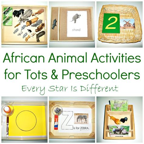 African Animal Activities for Tots & Preschoolers with Free Printables from Every Star Is Different Africa Activities, Mammals Activities, Animals Of Africa, Montessori Geography, African Theme, Free Preschool Printables, Africa Animals, African Crafts, Montessori Preschool