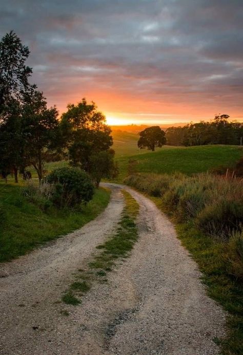 Sunrise Countryside, No Good Deed Goes Unpunished, Cloudy Sunrise, Tasmania Australia, Pretty Landscapes, Nature Aesthetic, Pretty Places, Country Life, Amazing Nature