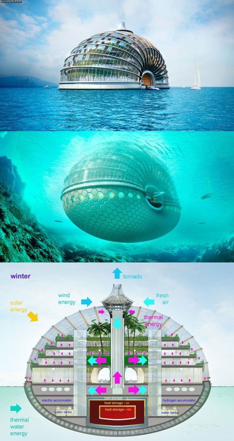 Floating Hotel | Floating Hotel | Mind Blown Pictures Collage, Floating Hotel, Noah S Ark, Chongqing, Amazing Pictures, Future City, Noahs Ark, Dessin Adorable, 판타지 아트