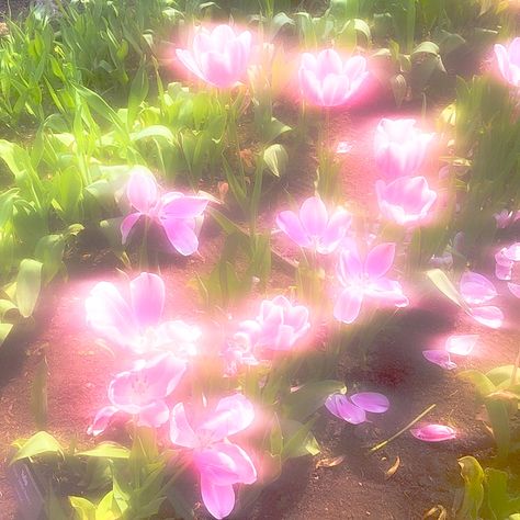 Mood Images, Aesthetic Aesthetic, Pink Flowers, Building, Flowers, Green, Pink