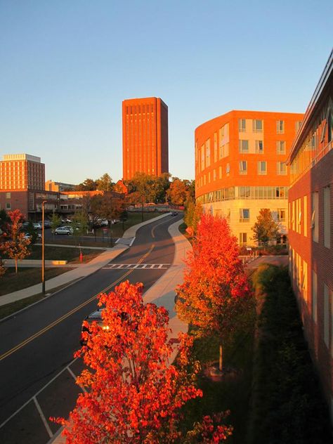 U Mass Amherst, Umass Amherst Dorm, Umass Boston, Massachusetts Aesthetic, Amherst Massachusetts, University Of California Davis, College Vibes, Umass Amherst, University Of Massachusetts Amherst