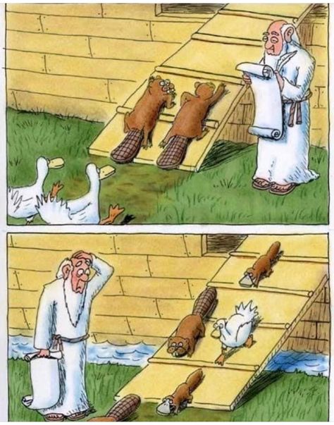 Religious Humor, Meaningful Pictures, Christian Humor, Platypus, Christian Memes, Funny As Hell, Fun Comics, Really Funny Pictures, Really Funny Memes