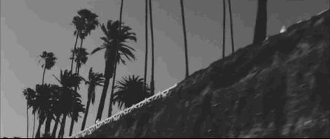 Lana Del Rey Gif, Rey Gif, Lana Rey, Banner Gif, Lana Del Ray, Aesthetic Gif, Lana Del Rey, West Coast, Cali