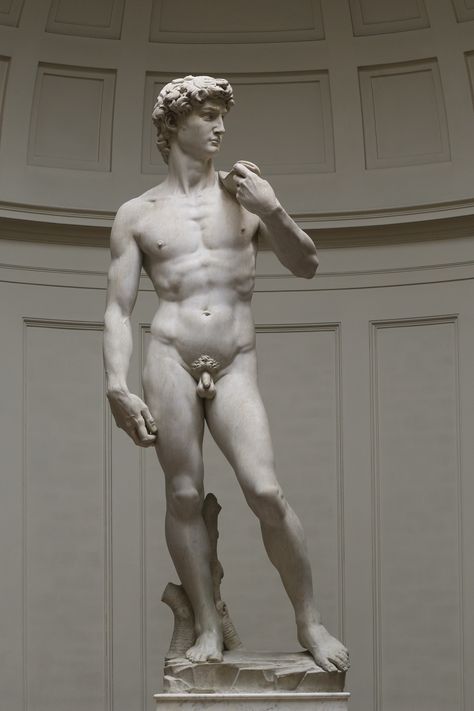 Michelangelo Artwork, The David Statue, Famous Sculptures, David Michael, Roman Sculpture, David Hockney, Marble Statues, Greek Art, Italian Artist