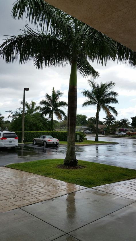 ♡☆ Florida Rain ☆♡ Rain In Florida, Vacay Aesthetic, Broward County Florida, Bloxburg Town, Scenery Background, Best Titles, Nice Places, Broward County, Street Snap