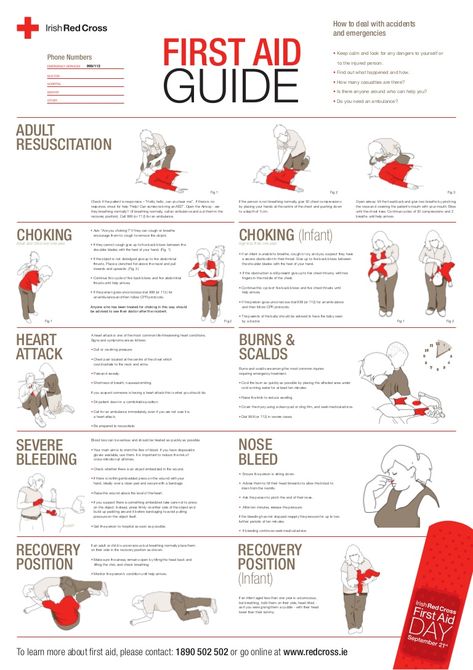 First Aid Poster, Survival Skills Emergency Preparedness, First Aid Training, Red Crescent, First Aid Tips, Basic First Aid, Cpr Training, Medical School Life, Nurse Study Notes