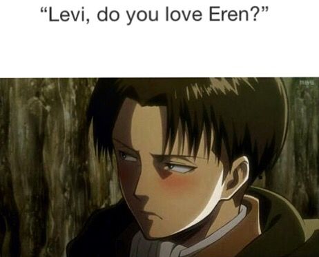 Awww blushing Levi when confronted with the love he has for Eren, Ereri Types Of Boyfriends, Captain Levi, Attack On Titan Levi, Eren Jaeger, Levi Ackerman, An Anime, Hetalia, Boku No Hero Academia, Anime Character