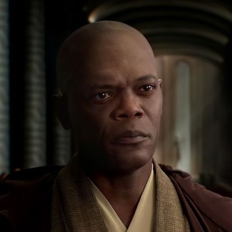 Revenge Of The Sith, Mace Windu, Jedi Order, The Sith, Sith Lord, Double Life, George Lucas, Star Wars Jedi, Anakin Skywalker