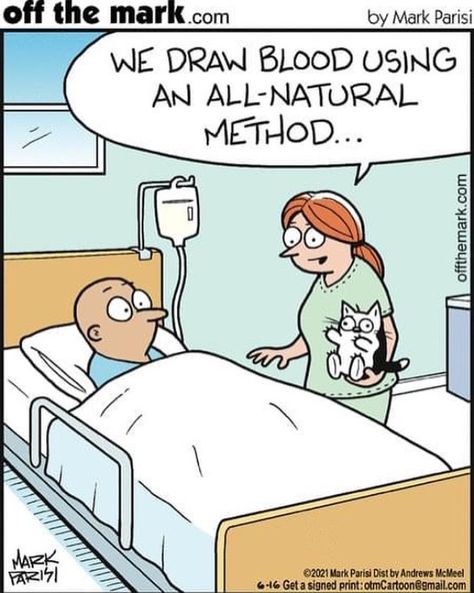 Mark Parisi, Funny Cat Jokes, Cat Jokes, Cat Comics, Web Comics, Cat Quotes, Funny Cat Memes, Funny Cat Pictures, Grumpy Cat