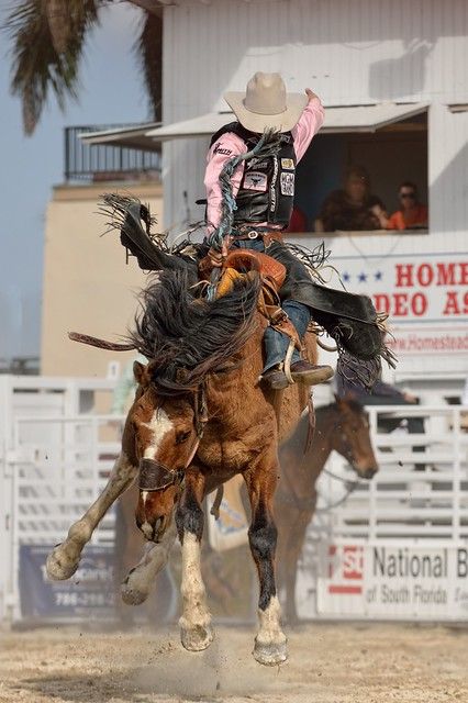 Saddle Bronc Riding, Saddle Bronc, Bronc Riding, Rodeo Time, Rodeo Events, Rodeo Cowboys, Cowboy Pictures, Bucking Bronco, Real Cowboys