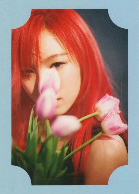 Red Velvet Photocard, Velvet Aesthetic, Russian Roulette, Wendy Red Velvet, Red Velvet Irene, The Velvet, Girl Cakes, Kpop Girl Groups, Mini Album