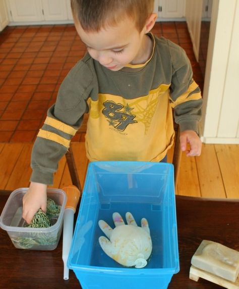 Learn about hand washing and germs with this fun activity perfect for toddlers, preschoolers and Kindergarten too! #germs #handwashing #toddleractivities #preschoolactivities #kindergartenscience Washing Hands Activities, Lesson For Kindergarten, Germs Activities, Cosmetics Packaging, Science Lesson, Washing Hands, Health Lessons, Health Smoothies, Healthy Work Snacks