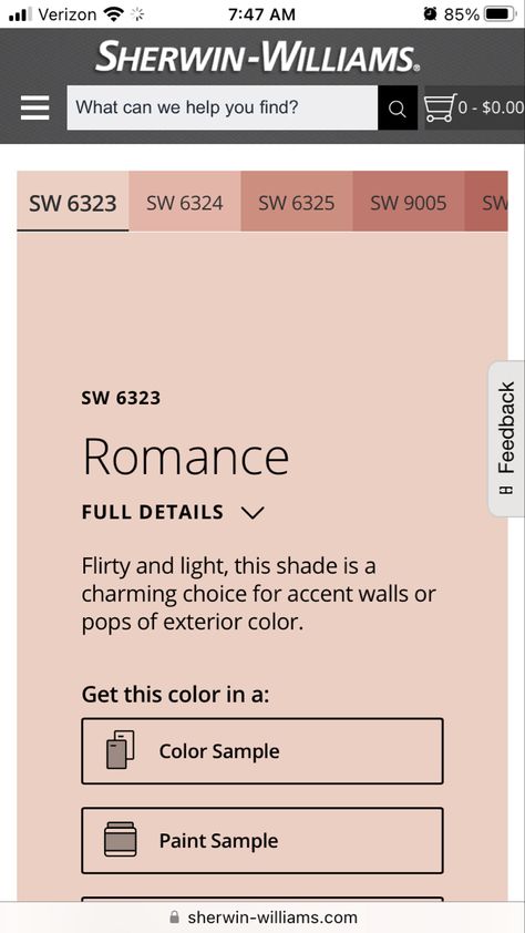 Sw Romance Paint, Romance Sherwin Williams, Romance Paint Color, Sw Romance, Sherman Williams, Red Paint Colors, Sherwin Williams Paint Colors, Paint Projects, Floor Colors