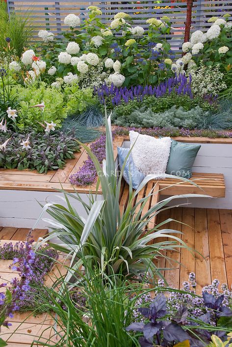 Deck Landscaping, Garden Seating Area, Sunken Garden, Have Inspiration, Plants And Flowers, Garden Seating, Garden Bed, Garden Cottage, Back Garden