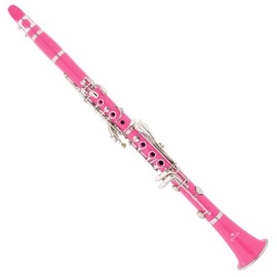 Pink Clarinet, Pink Instruments, Apple Watch Accessories Bands, Beautiful Instruments, Clarinets, Instruments Art, Pink Music, Band Nerd, I Believe In Pink