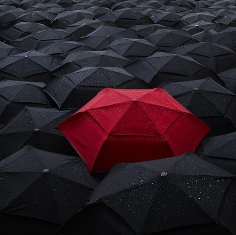 Week 2: For emphasis, the red umbrella clearly is emphasized by being up against all of the black ones. This is used affectively because all of the shapes are the same pattern, direction and size. It would otherwise be completely lost in the mix otherwise Rain Pictures, Black Umbrella, Umbrella Art, Red Umbrella, Rain Umbrella, Under My Umbrella, Singing In The Rain, Nice Pictures, Umbrellas Parasols