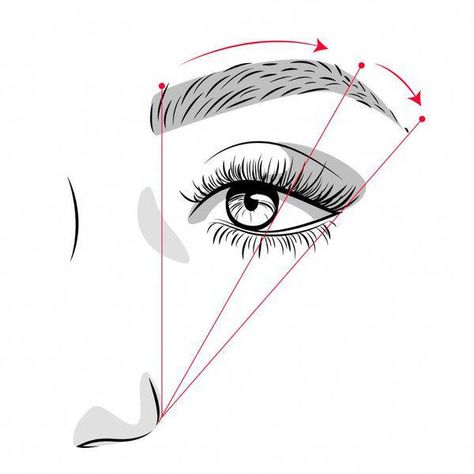 Trimming eyebrows is essential for giving your brows a clean and fresh look. Learn how to trim eyebrows like a pro with this complete guide. Trim Eyebrows, Trimming Eyebrows, Eyelashes And Eyebrows, Cleanse Recipes, Eyebrow Tutorial, How To Trim Eyebrows, Fresh Look, Herbal Remedies, Like A Pro