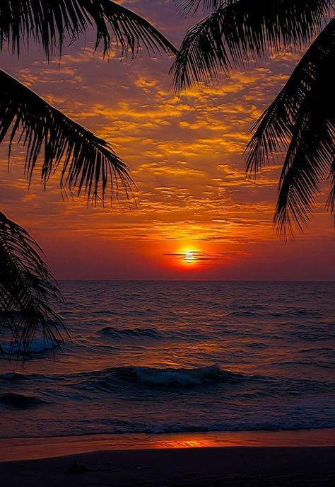 Amazing Sunsets, Sunset Wallpaper, Beautiful Sunrise, Sunset Pictures, Beautiful Sky, Beach Scenes, Beautiful Sunset, Beach Sunset, Amazing Nature