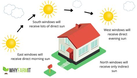 Direct vs. Indirect Sunlight for Plants - Mystery Revealed - WhyFarmIt.com Indirect Light Plants, The Light Is Coming, Zz Plant, Evening Sun, Indirect Sunlight, Plant Aesthetic, Small Leaf, Growing Indoors, Morning Sun