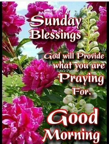 Words Of Faith, A Blessed Sunday, Friday Morning Quotes, Happy Sunday Images, Sunday Prayer, Good Morning Sunday Images, Sunday Morning Quotes, Happy Sunday Morning, Have A Blessed Sunday