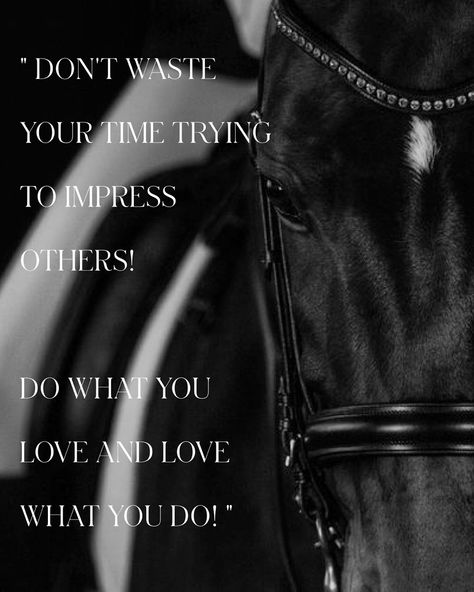 This is all that matters! ✨ Do you agree? kpahorse.com #lovewhatyoudo #thisisallthatmatters #dressage #dressagehorse #dressagepony #dressagerider #dressagetraining #horsetraining #horseriding #dressagecompetition #showjumping Dressage Quotes Inspirational, Dressage Quotes, Dressage Competition, Dressage Training, Dressage Horses, Horse Quotes, Horse Training, Show Jumping, Horse Stuff