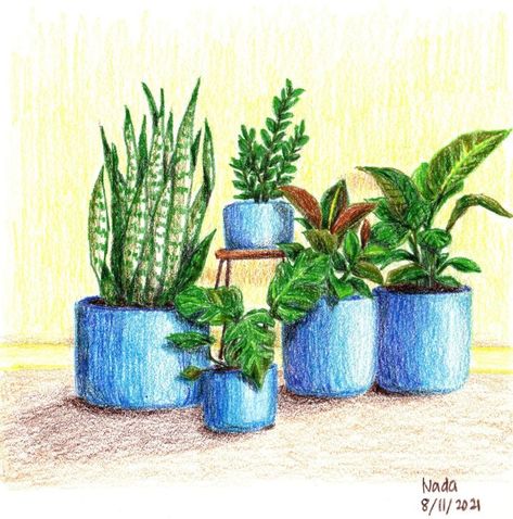 Colored pencil sketch of potted plants. Photo inspo from @mojaypots instagram. Pencil Plant, Plants Photo, Colored Pencil Drawing, Colored Pencil, Pencil Sketch, Photo Inspo, Plant Pot, Cactus Plants, Drawing Sketches