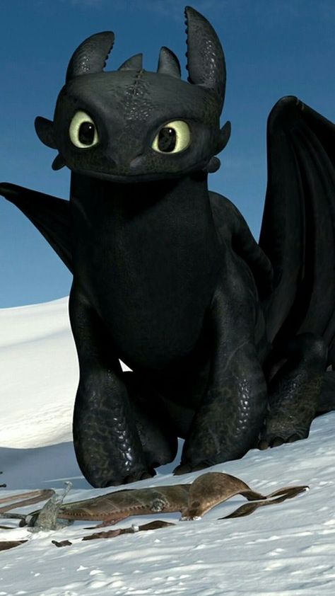 How To Train A Dragon, Toothless Wallpaper, Cute Toothless, Toothless And Stitch, Night Fury Dragon, Dragon Wallpaper Iphone, Toothless Dragon, Light Fury, Dragon Memes