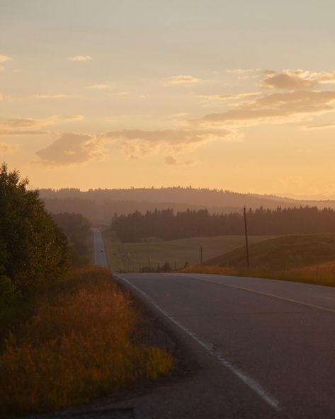 Some photos I took today, Some love would be greatly appreciated ❤️❤️ #road #country road #outdoors #photography #photos Road Aesthetic, Costal Cowgirl, Cowgirl Photo, Leaves Falling, Country Road, Outdoors Photography, Falling Down, Photography Photos, Dream Life