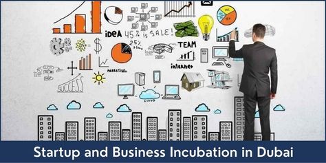 Complete guide on startup incubators and business incubation in Dubai. Contact us to start a business incubator in Dubai. Startup Incubator, Web Development Company, Digital Marketing Company, Business Leader, Marketing Company, Coaching Business, Digital Marketing Agency, Business Growth, Marketing Services