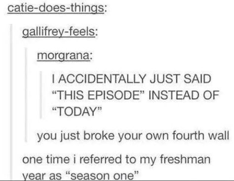 Today Fourth Wall Break, Breaking The Fourth Wall, I Accidentally, Fourth Wall, Funny Tumblr Posts, What’s Going On, Funny Stories, Tumblr Funny, Season 4