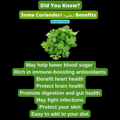 coriander benefits for health
coriander benefits and side effects
coriander seeds benefits and side effects
coriander tea benefits and side effects
coriander leaf benefits and side effects
coriander leaf benefits and uses
what are the benefits of coriander leaves
what are the benefits of coriander seed water
coriander health benefits for baby
benefits of drinking boiled coriander leaves water
benefits of drinking coriander seeds water in empty stomach Coriander Seeds Benefits, Coriander Benefits, Seeds Benefits, Vegetable Benefits, C Vitamin, Coriander Leaves, Vitamin K, Lower Blood Sugar, Coriander Seeds