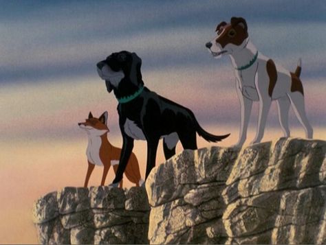 The Plague Dogs. Creepy Animation, Plague Dogs, Dark And Creepy, Dog Movies, The Plague, I Love Cinema, Kids' Movies, The Fox And The Hound, Cool Animations