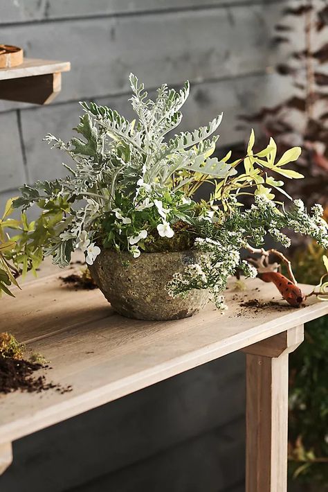 Gardening Supplies + Accessories | Terrain Planter Centerpiece Wedding, Porch Planters, Trough Planters, Antiquing Glaze, Planter Table, Bee Garden, Hand Poured Candle, Gardening Supplies, Garden Structures