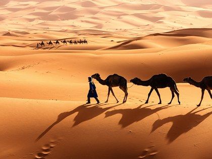 18 Photos That Will Make You Want to Visit Morocco - Condé Nast Traveler Morocco Tourism, Desert Biome, Morocco Itinerary, Dry Desert, Morocco Tours, Hot Desert, Western Sahara, Desert Tour, Visit Morocco