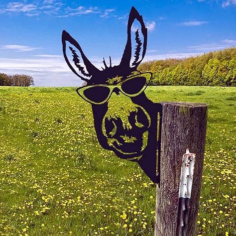 Amazon.com: TOKLYUIE Peeping Animal Metal Art - Farm Peeping Cow Metal Art Garden Decor Outdoor Farm Backyard Patio Lawn Garden Fence Decoration (#2 Donkey in Sunglasses) : Patio, Lawn & Garden Ideas Terraza, Art Fer, Fence Decor, Outdoor Statues, Decoration Piece, Farm Decor, Mors Dag, Landscape Projects, Iron Art