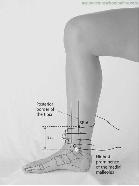 Spleen Meridian, SP6, Sanyinjiao     This point is located on the inner side of the leg just above the ankle. Although it is on the spleen meridian, which generally influences the digestive system, this point is also valuable for treating hormonal disorders (irregular menstruation, impotence) and immune disorders. Tcm Traditional Chinese Medicine, Acupuncture Benefits, Holistic Therapies, Energy Medicine, Acupuncture Points, Relax Spa, Acupressure Points, Traditional Chinese Medicine, Alternative Health