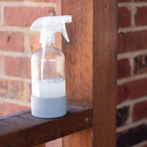 Homemade Fly Spray for Home - Homemade Chemical-Free Beauty Products, Natural House Cleaner Recipes, & Healthy Recipes – Our Oily House Homemade Fly Spray For Home, Fly Spray For Home, Natural House Cleaners, Homemade Fly Spray, Our Oily House, Bug Repellent Candles, Homemade Bug Repellent, Signs Of Bed Bugs, Homemade Bug Spray