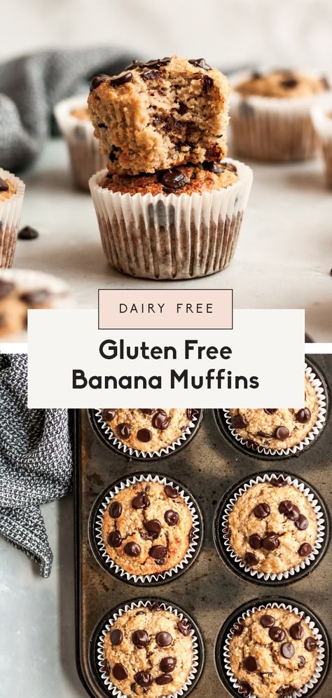 The best dairy free and gluten free banana muffins made with a mix of almond flour and oat flour. These gluten free banana muffins are naturally sweetened with bananas and a bit of pure maple syrup and make a wonderful,  freezer-friendly breakfast or snack. Add chocolate chips to make them extra special! #muffins #glutenfree #almondflour #bananamuffins #healthysnack Banana Muffins With Chocolate Chips, Favorite Deserts, Muffins With Chocolate Chips, Muffins With Chocolate, Paleo Breads, Gluten Free Banana Muffins, Gluten Free Dinner Easy, Gf Baking, Healthy Inspiration