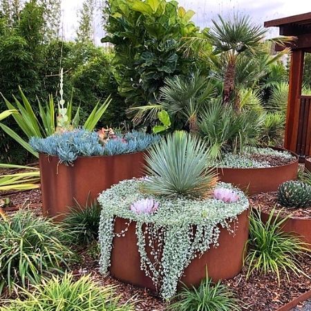 Container Water Gardens, Australian Native Garden, Landscaping Simple, Australian Garden, House Landscaping, Water Gardens, Front House, Rock Garden Landscaping, Native Garden