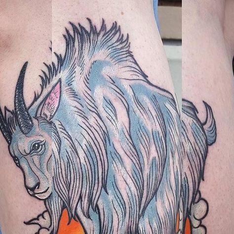 Voodoo Monkey on Instagram: "#Repost @eric_kaplan01 ・・・ Also a healed pic of the mountain goat tattoo from last month! #voodoomonkeycle #clevelandtattooartist #cle #mountaingoat #mountaingoattattoo #colortattoos #colortattoo #healed #healedtattoo #healestattoos" Moose Skull Tattoo Design, Moose Skull Tattoo, Goat Head Tattoo Traditional, Mountain Goat Tattoo, Mountain Goat Skull Tattoo, Tattoo Tshirt, Mountain Goat Skull, Goat Tattoo, Tattoo T Shirts