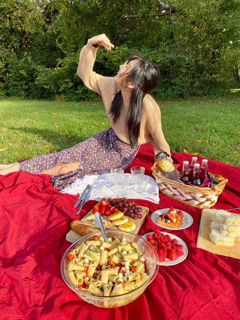 Red Picnic Aesthetic, Red Picnic, Aesthetic Picnic, Red Blanket, Picnic Aesthetic, Aesthetic Red, Picnic Foods, Paella, Ethnic Recipes