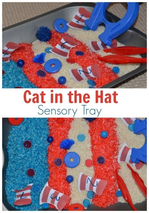 Explore magnetism with a Cat in the hat sensory tray Cat In The Hat Sensory Bin, Cat In The Hat Preschool Activities, Sencery Bins, Dr Seuss Sensory Bin Preschool, Dr Suess Sensory Bin Ideas, Dr Seuss Sensory Bin, Twos Activities, Doctor Suess, Block Activities