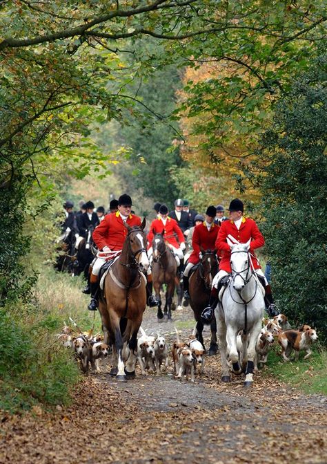 English Country Manor, Hunt Scene, Art Skills, Fox Hunting, Horses And Dogs, Equestrian Life, Beautiful Sights, English Countryside, Equestrian Style