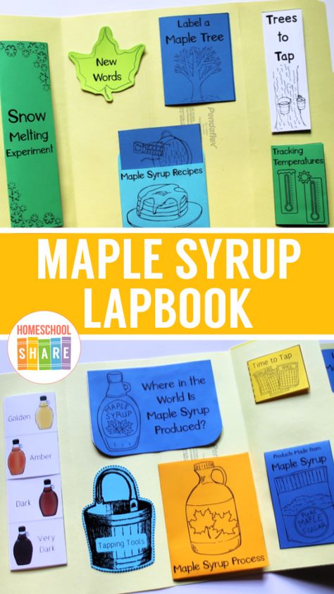 Maple Syrup Lapbook – Homeschool Share Maple Sugaring Activities, Study Printables, Maple Syrup Recipes, Book Tree, Shape Books, Sugar Maple, Printables Free Kids, Book Folding, Maple Syrup