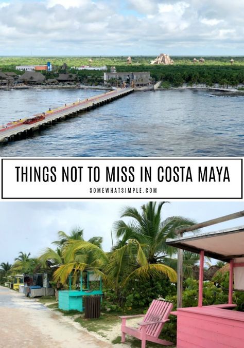 There are plenty of things to do in Costa Maya Mexico - here are 5 things you don't want to miss! #CostaMaya #ComeBackNew #ad @PrincessCruises Costa Maya Excursions, Costa Maya Cruise Port, Ncl Breakaway, Costa Maya Mexico, Norwegian Escape, Western Caribbean Cruise, Carribean Cruise, Mexico Beaches, Cruise Ports