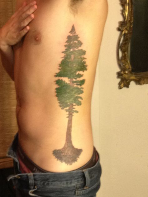 Redwood tattoo Redwood Tree Tattoo, Redwood Tattoo, Santa Cruz Redwoods, Tree Tattoo Ideas, Tree Tattoo Meaning, Tattoo Tree, Tree Tattoo Designs, Redwood Tree, Creative Stuff