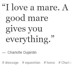 my sweet mare charlotte is the best friend that i have ever had Mare Quotes Horses, Mare Quotes, Equine Quotes, Cowgirl Quote, Horse Quotes Funny, Mare Horse, Inspirational Horse Quotes, Horse Lessons, Horse Riding Quotes