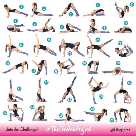 The Stretch Project - 30 day flexibility challenge! - Blogilates Flexibility Challenge, Better Posture, 30 Day Challenge, Fitness Planner, Intense Workout, Injury Prevention, 30 Day, Something To Do